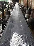 Salt conveyor