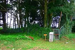 Shinbaru-Nuyama Kofun No.21