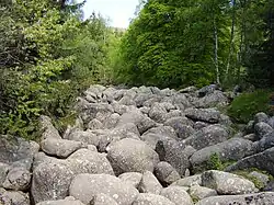 The river passes under Zlatnite Mostove