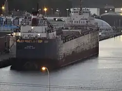 The Algosoo in Toronto in September 2016