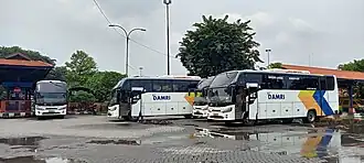 Queue of integrated bus modes (airport–bus terminal) owned by Perum DAMRI using medium bus units with Mercedes-Benz OF 917 L chassis and Piala Mas body assembly at Purabaya Terminal, March 11, 2022.