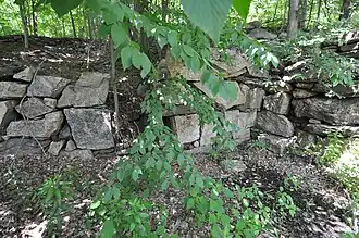 Hitchcock-Schwarzmann Mill