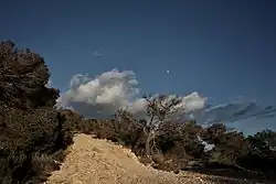 Looks like this Site of Community Interest has an image. Don't worry, you can take one of your own, and upload it too!