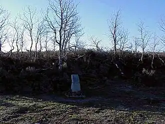 Camas Meadows Battle Sites