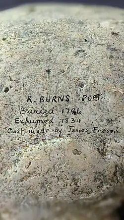Cast of the skull of Scottish poet Robert Burns (back)
