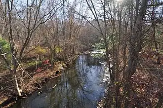 Furnace Carolina Site