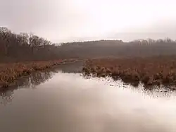 Image of Dragon Creek