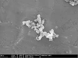 ELECTROCONDUCTIVE CARBON BLACK