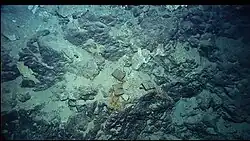 Iron plates dropped on the seafloor as ballast.