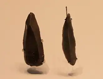 Flint stone points, Boqer Tahtit Cave (Ein Avdat) and el‑Wad Cave, 50000 – 28000 BP (Israel Museum)
