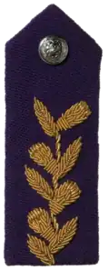 SA Army Chaplains Gorget - General Officers