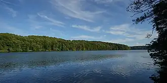 A body of water surrounded by greenery.