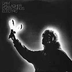 Cover artwork of "Everything's Electric": Liam Gallagher looks upwards while holding a pair of maracas in his right hand. His name, "Liam Gallagher", and the song's title, "Everything's Electric", are printed in the top-left corner.