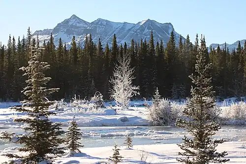 Threepoint winter scene