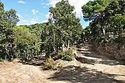 Looks like this Site of Community Interest has an image. Don't worry, you can take one of your own, and upload it too!