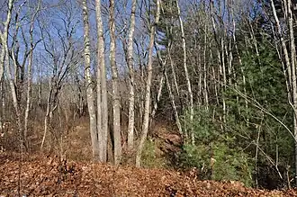 Three Dog Site, RI-151