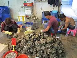 Oyster shucking at Lau Fau Shan, Hong Kong