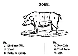 Diagram of a pig, showing the location of the cuts of pork