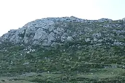 Looks like this Site of Community Interest has an image. Don't worry, you can take one of your own, and upload it too!