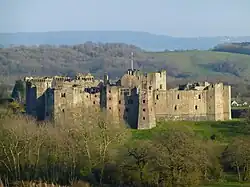Raglan Castle