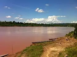 Pachitea River near Nueva Honoria, Honoria District
