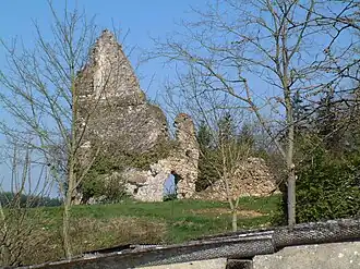 Ruins of the château