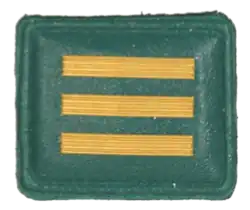 SANDF - Embossed Good Conduct Badge - SA Army - NCG Uniform - Ceremonial Guard Green with Gold Stripes - Level III