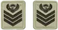 Staff Sergeant embossed badge