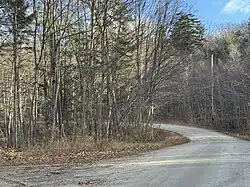 Chemin du lac Clair, forest road[3]