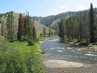 Salmon River, Idaho