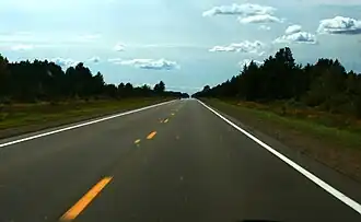 A straight roadway leading away to the horizon with trees on either side of the road