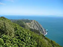 View from Tūteremoana, looking south along the steep cliffs towards Kaiwharawhara Point