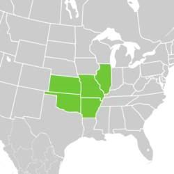 Symphyotrichum anomalum distribution map: US — Arkansas, Illinois, Kansas, Missouri, and Oklahoma.