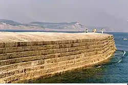 The Cobb piers and walls including north wall