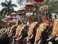 Elephant parade at the festival in Thrissur Pooram, Kerala, 2011