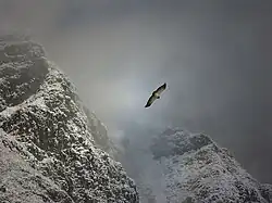 Snow storm near Cacheuta at the foothills of the Andes