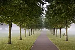 Pontcanna Fields and Llandaff Fields