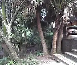 Part of the gardens at Umdoni Bird Sanctuary