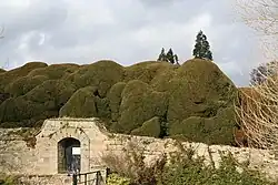 Garden walls attached to south front of Melbourne Hall with attached railings and wall to east