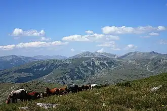 A view from the summit of Ibar