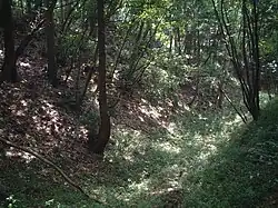 Dry Moat of Takiyama Castle