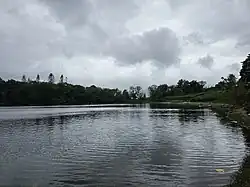 Llyn Cynwch, a natural ancient lake of Nannau