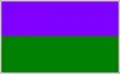 A two-toned rectangular shape, one half of which is purple and the other half green
