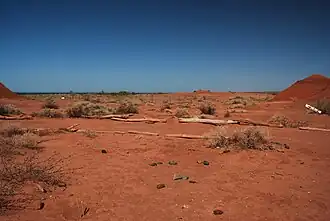A desert area in the Argentine Monte