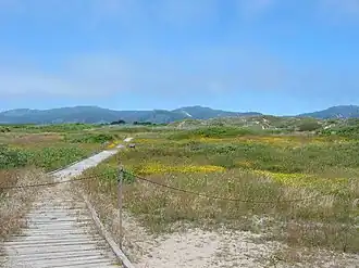 Año Nuevo State Reserve