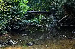 The bridge over the Ažytė in Antkalnis