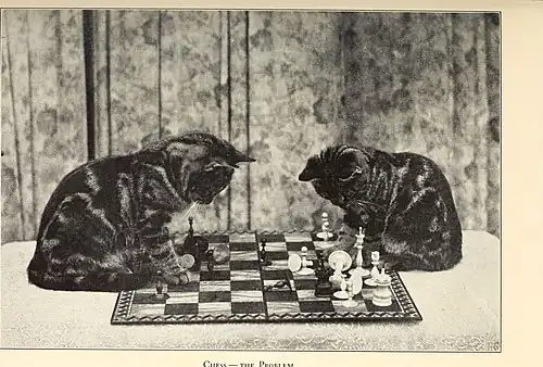 Chess – The Problem