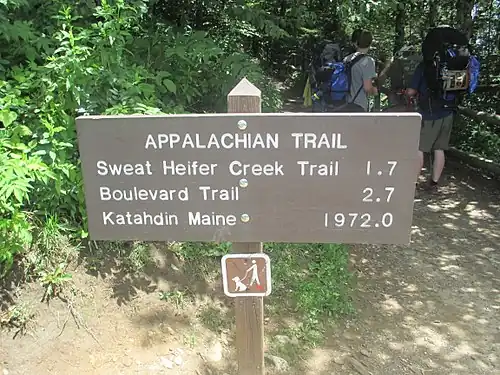 Appalachian Trail at Newfound Gap in the Great Smoky Mountains National Park, NC