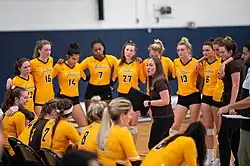 The Yellow Jackets women's volleyball team in 2019