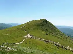 Northern face of Tarnica, June 2015